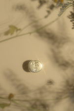 Load image into Gallery viewer, Pluto Power Signet Ring
